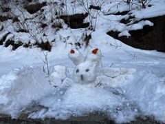 -龙洞风景区-藏龙涧