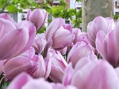 -渣打银行（中国）(北京分行)