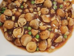 蚝油烩鲜草菇-和记小菜(名品店)