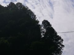 -沣峪口