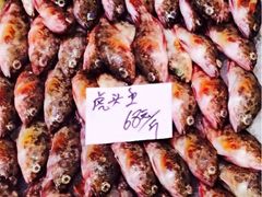 iphone_upload_pic-大金山酒店