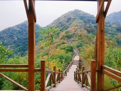 -大岭沟猕猴桃谷风景区