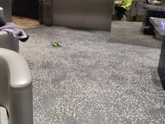 -寿奶茶·鲜奶与茶(合生汇购物中心店)