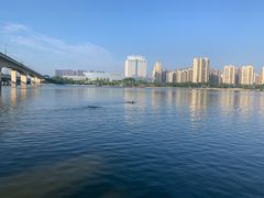 -灞河西岸滨河公园