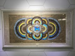 光明女神蝶-上海昆虫博物馆