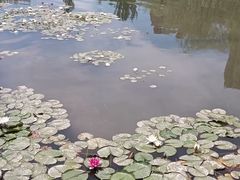 -东湖公园