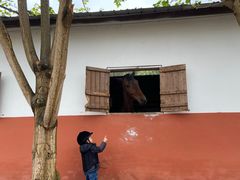 -重庆和泰马术俱乐部