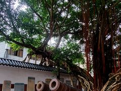 -闽粤南澳总镇府