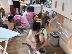 -COLOR PETS 撸猫馆·购猫·猫咖(长风大悦城店)