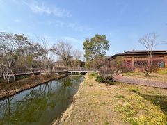 -溱湖国家湿地公园