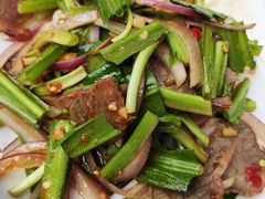 -铁山坪森林公园