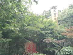 -杭州黄龙洞