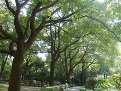 -上海交通大学医学院附属瑞金医院(总院)