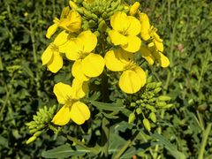 -中国天府农业博览园