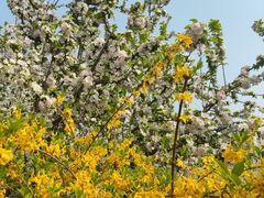 -元大都城垣遗址公园