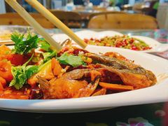 -人民公社大食堂(顺义总店)