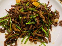 香菜炒牛肉-粥全粥到海鲜家常菜(瞿塘峡路店)