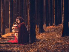 -铁山坪森林公园