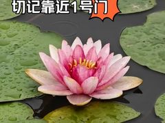 -嘉北郊野公园