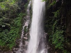 -莫里热带雨林景区