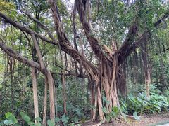 -福建鲤鱼洲酒店
