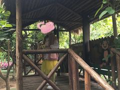 -呀路古热带植物园