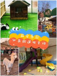 -萌宠亲子动物乐园(槐房万达店)