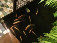 -Cuc Gach Quan Restaurant