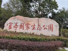 -官亭林海