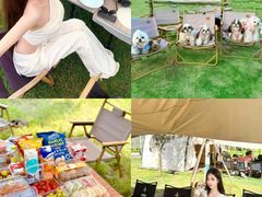 -栖露营camping·天幕烧烤·团建拓展·采摘营地