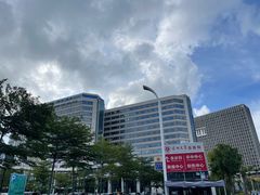 -深圳大学总医院