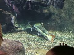 -太平洋海底世界