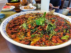 杨记招牌鱼-杨记隆府(白象街店)