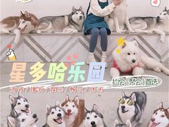-星多哈·狗咖·拼豆·咖啡