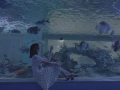 -常州海昌海洋探索馆