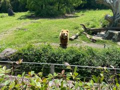 -宁波野生动物园