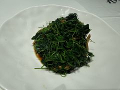 -松鹤楼(狮山永利广场店)