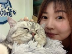-喵的天空名猫咖啡馆·撸猫·猫舍·用品