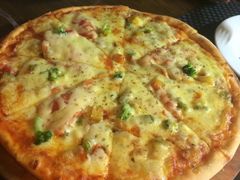 -百好乐宠物友好餐厅(朝外大街店)