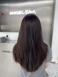 -天使之手plus