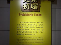 -烟台市博物馆
