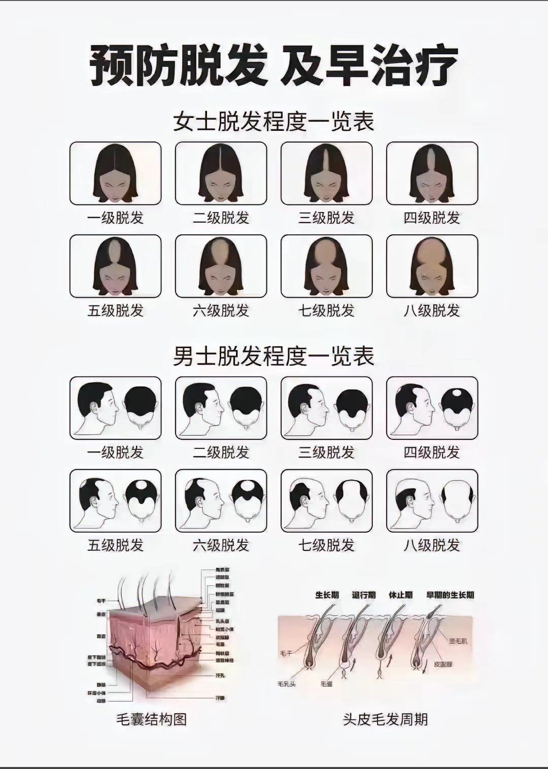 脱发是一个不知不觉的过程
