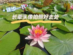 -都江堰普照寺