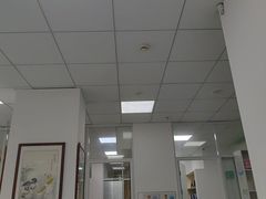 -美美宠物诊疗中心·异宠·骨科(滨江东信分院)