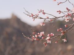 -云峰山自然风景区