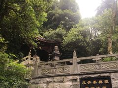 -十八棵（老龙井）御茶园(老龙井店)