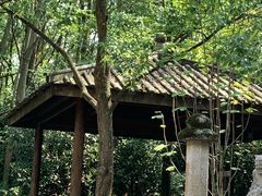-天目湖山水园