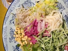 -大海碗·炸酱面·烤鸭·京菜(天坛店)