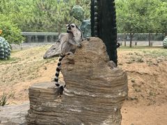 -秦皇岛野生动物园