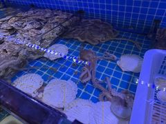-渔民船说·北塘海鲜·天津菜·海肠捞饭(北塘古镇店)